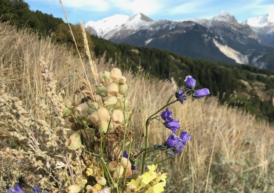 Photo des colines de Aussois